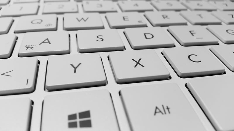 Software Developer